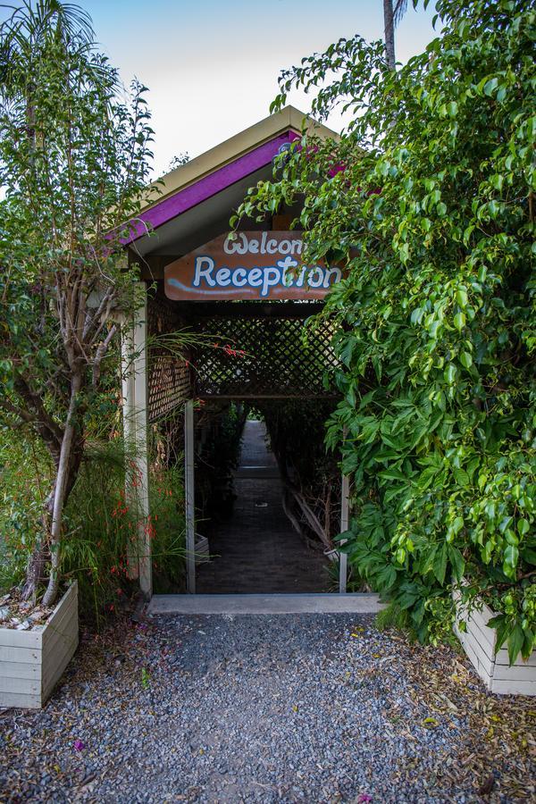 Backpackers By The Bay Hostel Airlie Beach Exterior photo